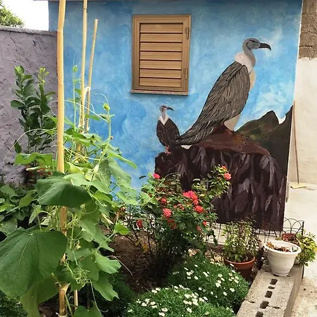 فندق مبيت وإفطار Su Entulzu *